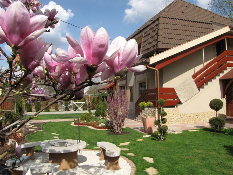 Szegfu Apartman Villa Hajdúszoboszló Esterno foto
